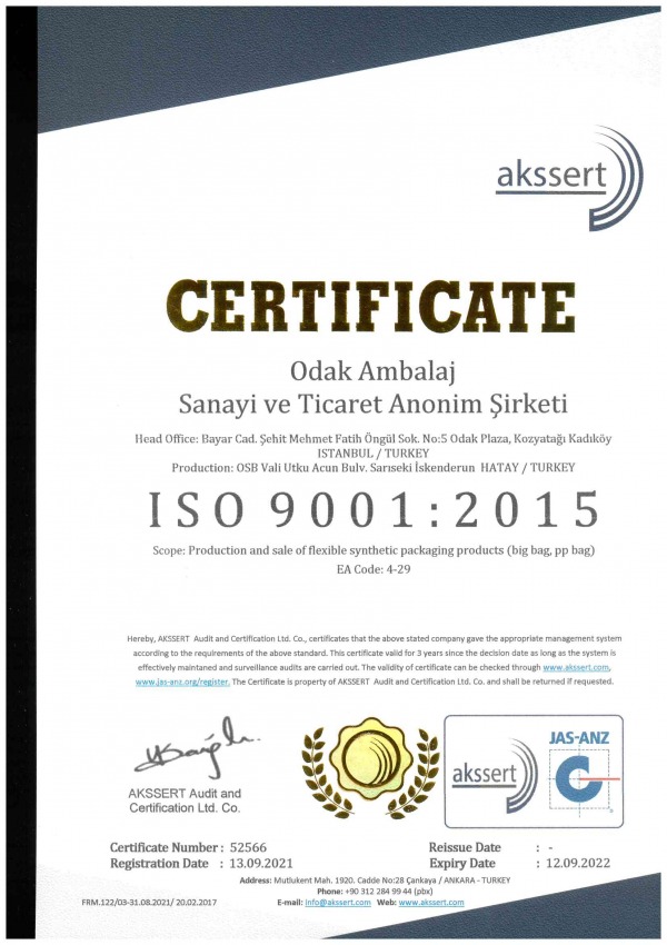 ISO 9001 2015  Sertifikası (EN)